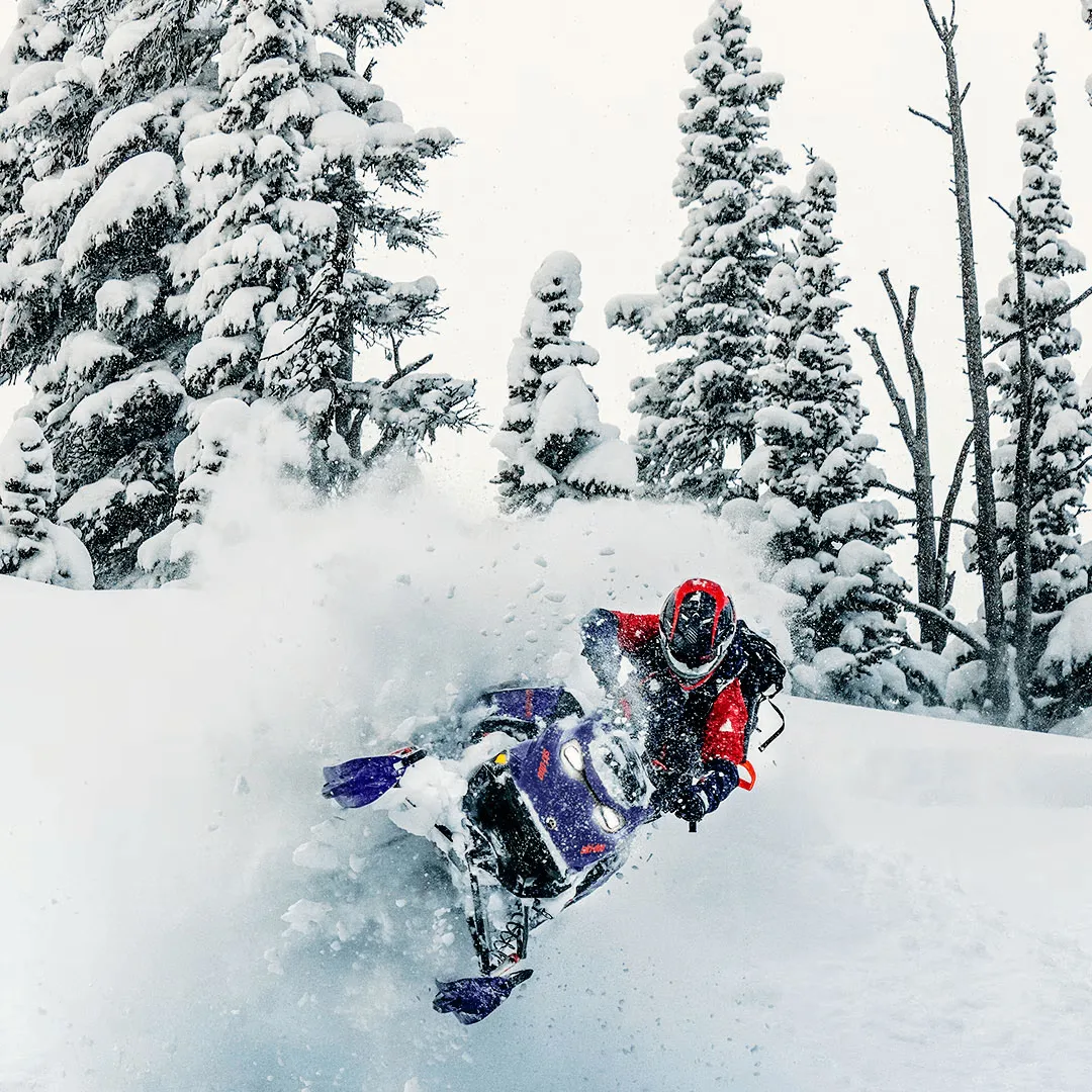 Riderz Rocky Image