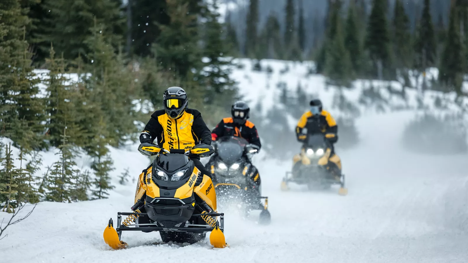 Riderz Online Shop Image
